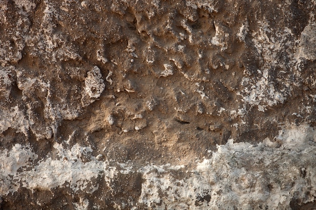 Detalle de una pared de ladrillos grises.