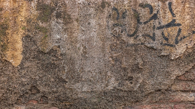 Detalle de una parte del muro. Lágrimas, escondites, grafitis, pintura, hormigón.