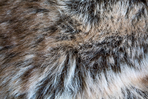 Detalle de pelo pelo de animal