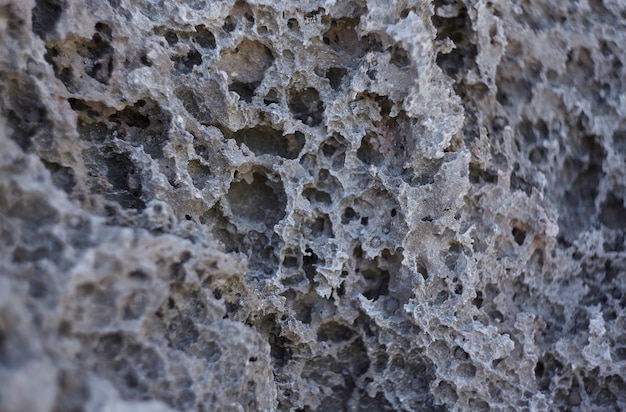 Detalle de una piedra caliza típica de la Riviera Maya en México.