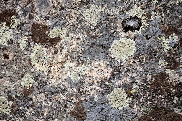 Detalle de una roca de granito. Textura de granito natural.