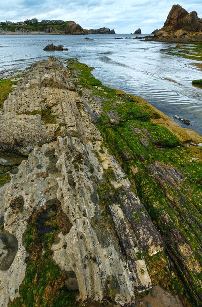 Detalle de rocas desnudas por marea baja en la playa de Portio (Pielagos, Cantabria)