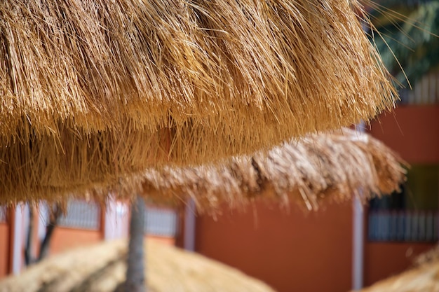 Detalle de sombrillas de paja en la playa en un resort tropical Vacaciones de verano y concepto de escapada