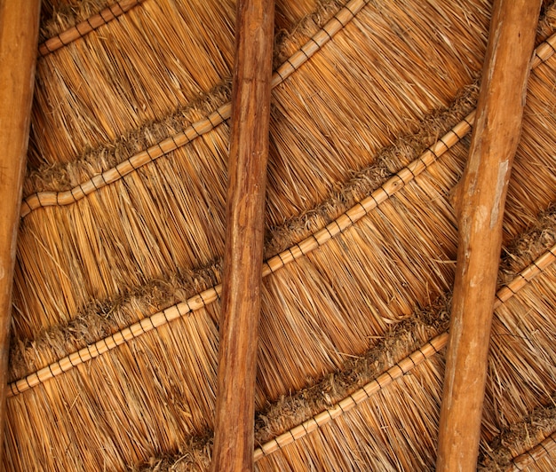 Detalle de techo de la cabina de madera de palapa tropical México