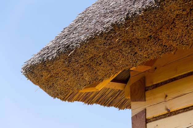 Detalle del techo de paja tradicional de paja o caña en un día soleado de verano