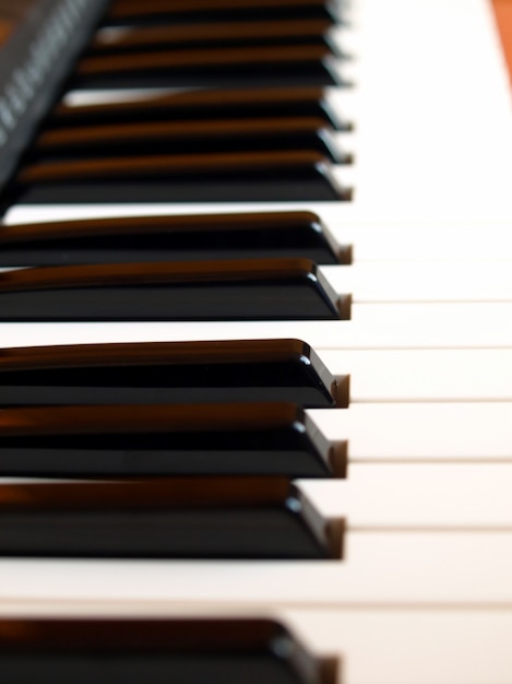 Detalle de teclas en blanco y negro en el teclado musical