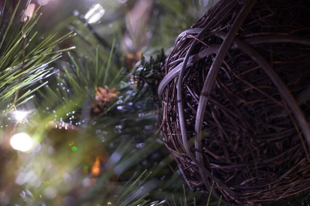 Detalles del árbol de Navidad 2