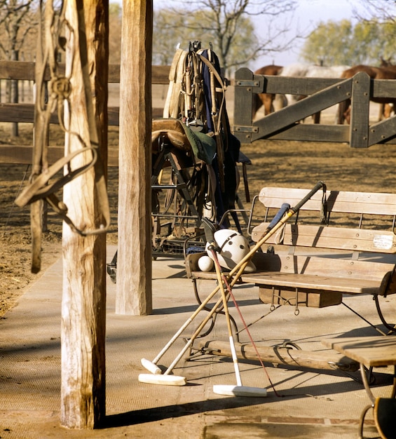 Foto detalles de los elementos para jugar al polo en el campo argentino