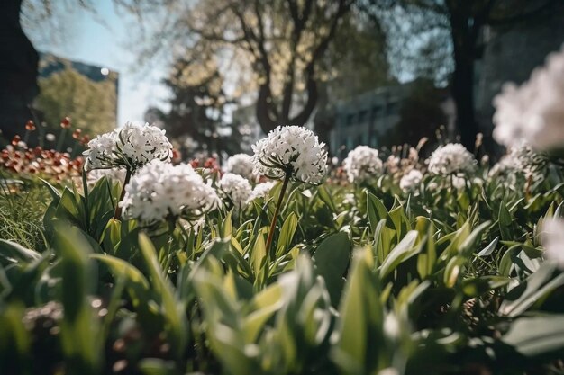 detalles de flores boda primavera al aire libre tiro de bajo ángulo