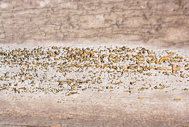 Foto detalles de fondo y textura de fondo en forma abstracta sobre madera