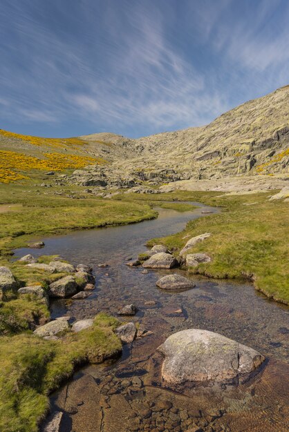 Detalles del parque de Gredos