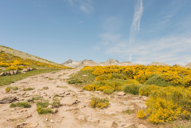 Detalles del parque de Gredos