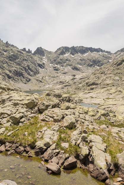 Foto detalles del parque de gredos