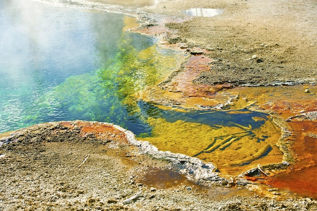 Detalles de Yellowstone