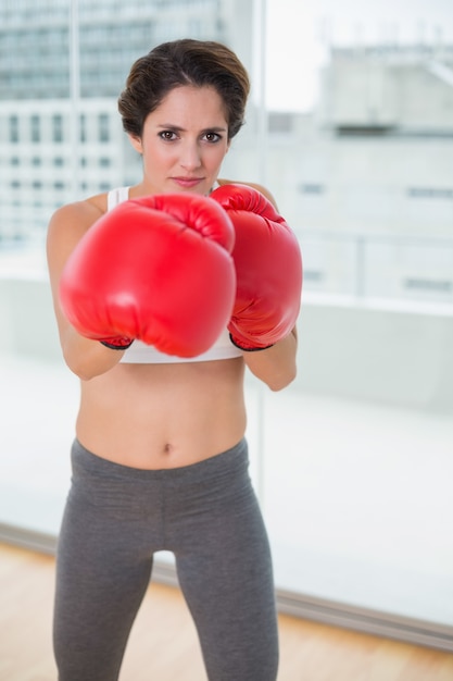 Determinado boxe morena e olhando câmera