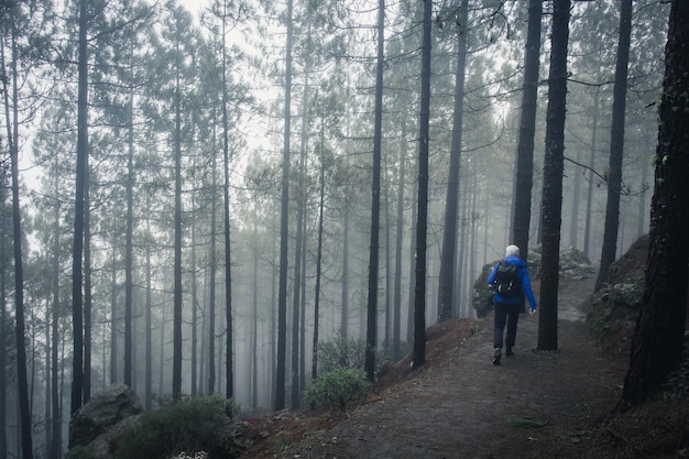 Detrás del excursionista bajando por el camino del bosque en un día brumoso en el parque natural Roque Nublo Explorador de aventuras