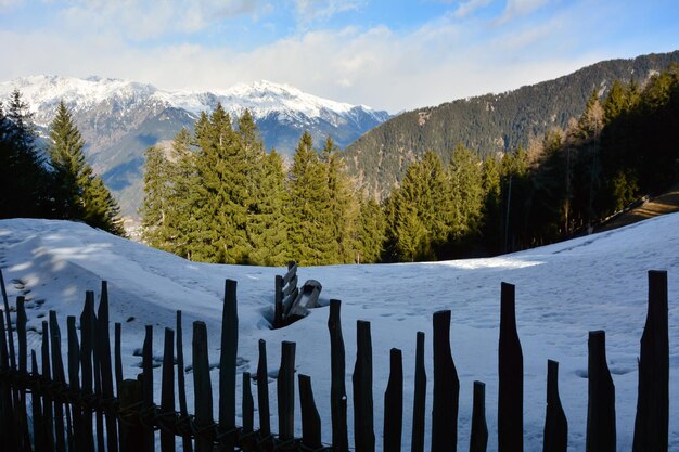 Detrás de una valla de madera, laderas cubiertas de nieve de montañas invernales cubiertas de bosques