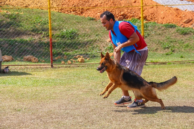 Deutscher Schäferhund mit einem Trainer, Hundewettbewerb