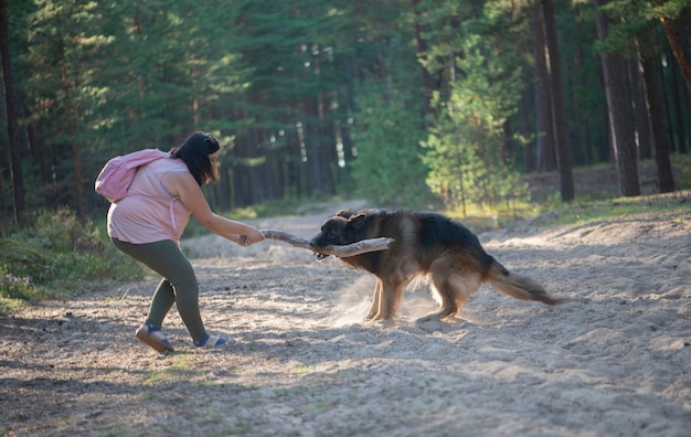 Deutscher Schäferhund und Frau spielen im Wald