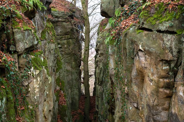 Foto devil gorge eifel teufelsschlucht canyon boulders trilha de caminhada na alemanha formação rochosa de arenito