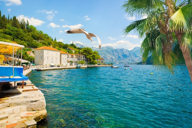 Día caluroso en Perast