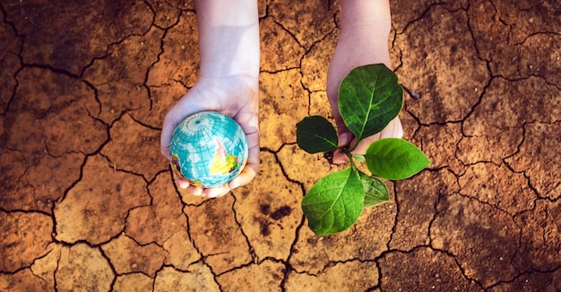 Dia da Terra ou árvore do conceito do Dia Mundial do Meio Ambiente e globo na mão humana na terra rachada