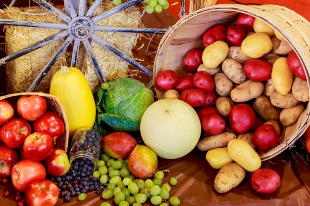 Dia de ação de Graças frutas legumes Abóboras de composição de outono e milho