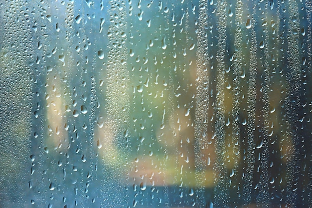 Dia de primavera no parque / vista da paisagem de primavera no parque pela janela, pingos de chuva no vidro