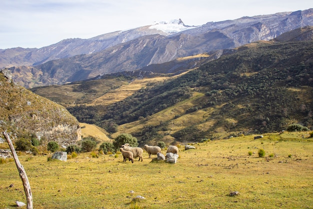 Foto dia de sol na serra nevada del cocuy