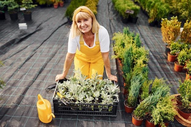 Dia de trabalho em uniforme de cor amarela A mulher sênior está no jardim durante o dia Concepção de plantas e estações