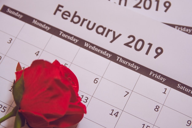 Dia dos namorados. rosa vermelha na página de calendário 14 de fevereiro com espaço de cópia
