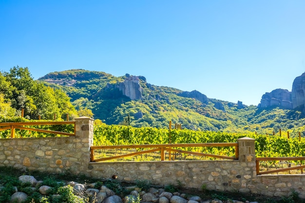 Dia ensolarado da Grécia em Kalambaka Vineyard e mosteiro de rock contra o pano de fundo das montanhas