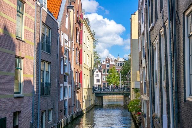 Dia ensolarado em amsterdã e casas do canal