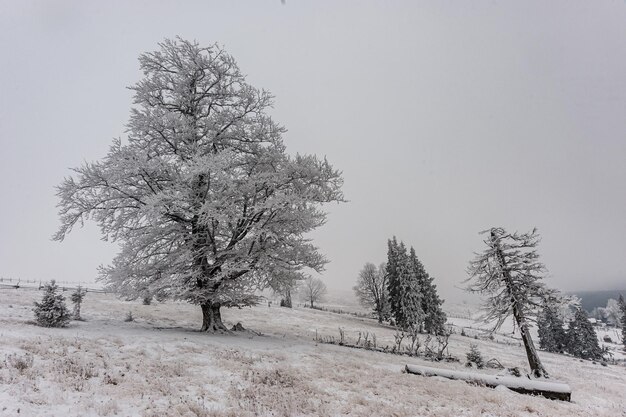 Dia gelado de inverno nas montanhas