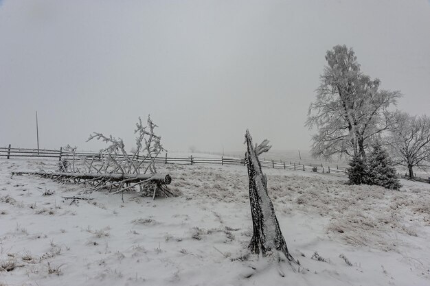 Dia gelado de inverno nas montanhas