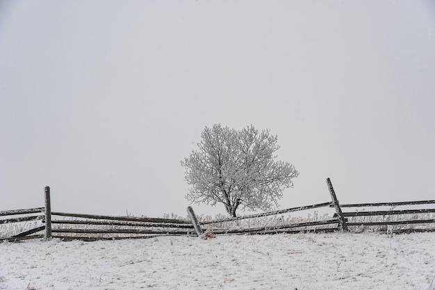 Dia gelado de inverno nas montanhas