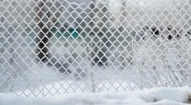 Foto dia gelado na neve do inverno em cima do muro