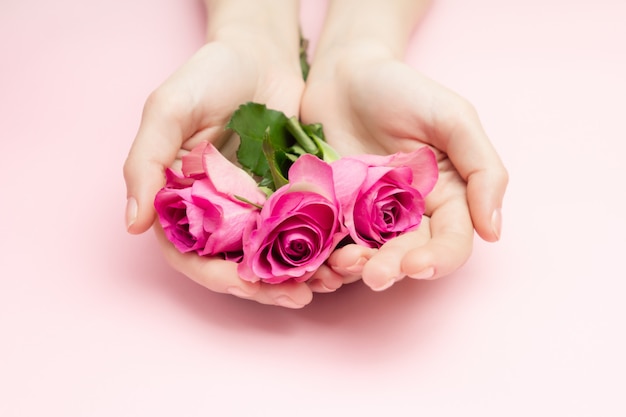 Dia internacional da mulher, conceito de dia das mães. As mãos de mulher segurar flores rosas em uma superfície rosa. Um pulso fino e manicure natural.