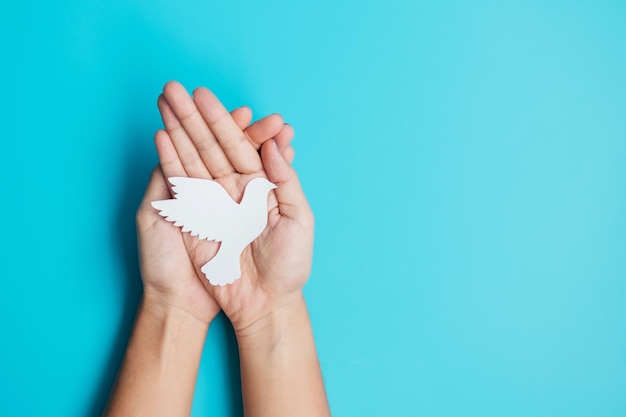 Foto dia internacional da paz mãos segurando papel branco pássaro pomba sobre fundo azul conceitos de liberdade esperança e paz mundial dia 21 de setembro