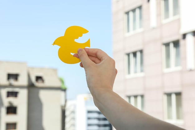 Dia internacional da paz ou símbolo do dia mundial da paz do pombo da paz