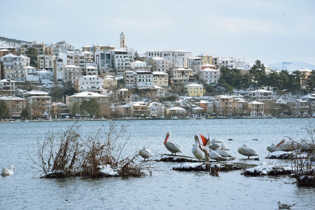 Foto día de invierno en el lago orestiada kastoria grecia