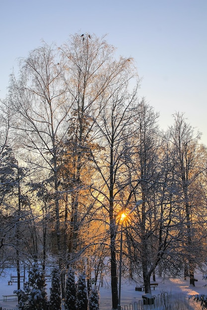 Día de invierno en Letonia Europa Vista panorámica de la naturaleza Luz del atardecer