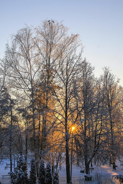 Día de invierno en Letonia Europa Vista panorámica de la naturaleza Luz del atardecer