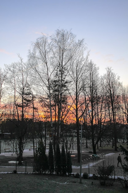 Día de invierno en Letonia Europa Vista panorámica de la naturaleza Luz del atardecer