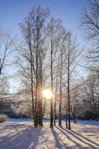 Día de invierno en Letonia Europa Vista panorámica de la naturaleza