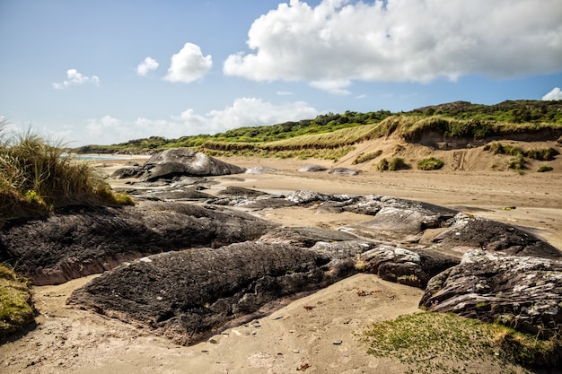 Foto día irlandés paisaje escénico europa luz