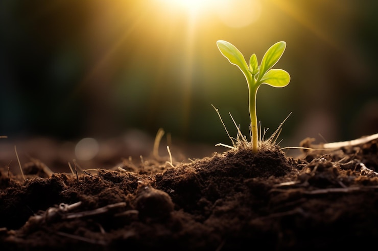 Foto día de la madre tierra protección del planeta ecología sprout desde el suelo