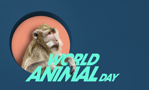 Día mundial de los animales con mono