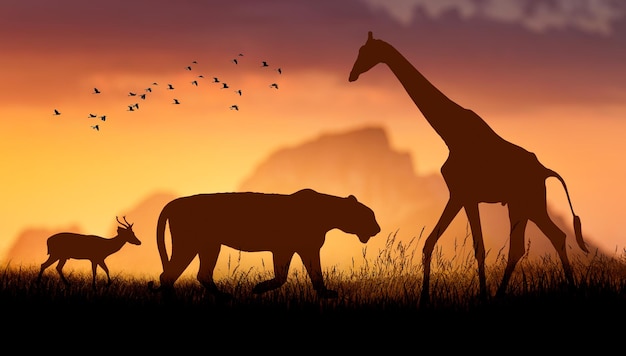 Dia Mundial da Vida Selvagem Grupos de animais selvagens foram reunidos em grandes rebanhos em campo aberto à noite, quando o sol dourado estava brilhando