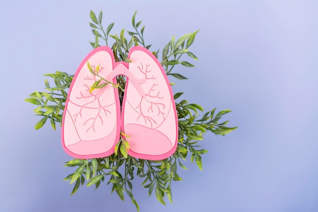 Dia Mundial do Câncer de Pulmão Dia Mundial da Conscientização da Tuberculose Pneumonia